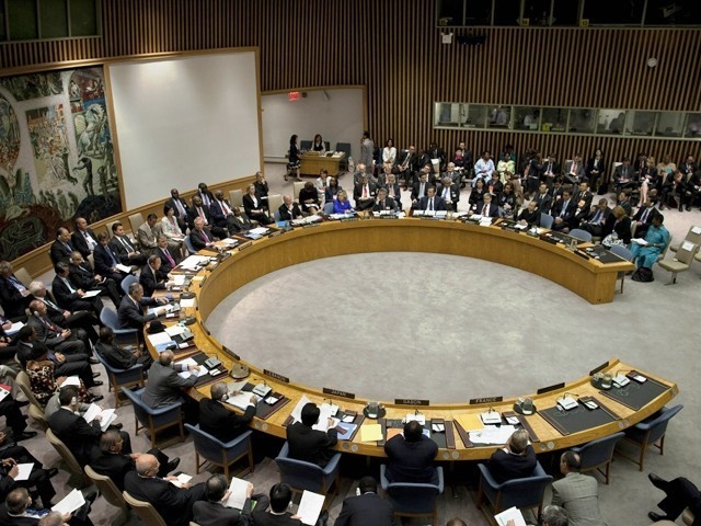 UNSC strengthens support for security reform - ảnh 1